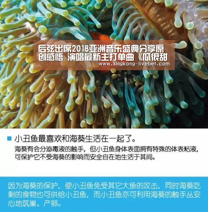 后弦出席2018亚洲音乐盛典分享原创感悟 演唱最新主打单曲《瓜很甜》:星空推荐(图3) 星空游戏