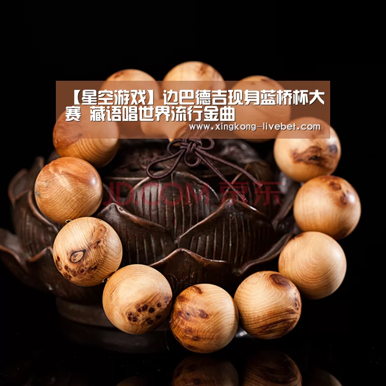 【星空游戏】边巴德吉现身蓝桥杯大赛 藏语唱世界流行金曲(图3) 星空游戏