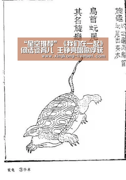 “星空推荐”《我们在一起》何洁谈育儿 王铮亮唱歌俘获人心(图1) 星空推荐