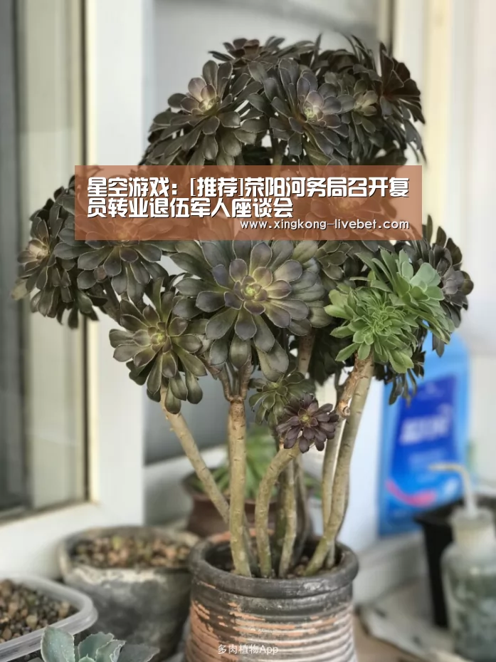 星空推荐