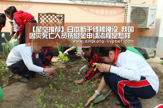 【星空推荐】日本新干线被淹没 我国因灾死亡人员抚慰金申请流程是怎样?(图1) 星空游戏