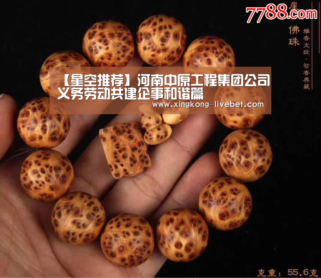 【星空推荐】河南中原工程集团公司义务劳动共建企事和谐篇(图1) 星空直播