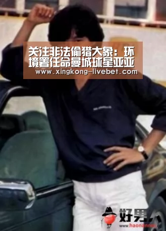 关注非法偷猎大象:环境署任命曼城球星亚亚•图雷为亲善大使‘星空入口’(图2) 星空推荐