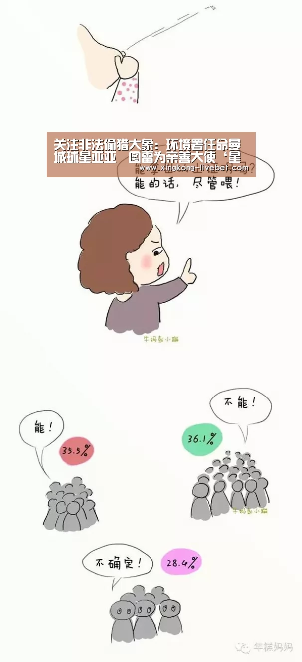 关注非法偷猎大象:环境署任命曼城球星亚亚•图雷为亲善大使‘星空入口’(图1) 星空入口