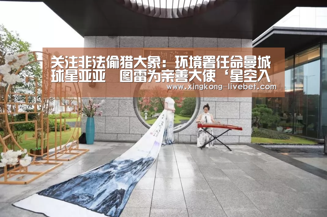 关注非法偷猎大象:环境署任命曼城球星亚亚•图雷为亲善大使‘星空入口’(图4) 星空游戏