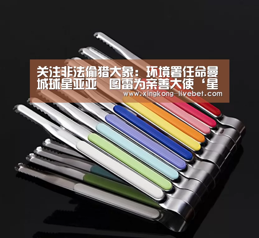 关注非法偷猎大象:环境署任命曼城球星亚亚•图雷为亲善大使‘星空入口’(图3) 星空入口