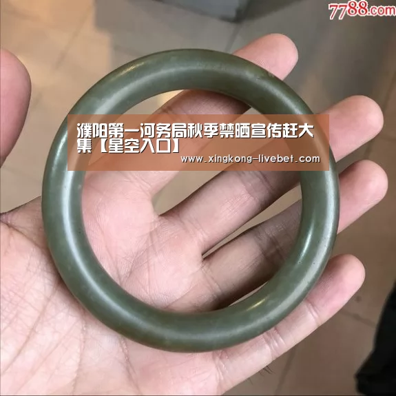 濮阳第一河务局秋季禁晒宣传赶大集【星空入口】(图4) 星空游戏