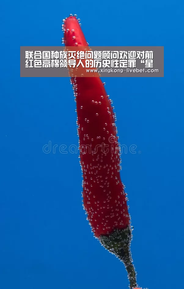 联合国种族灭绝问题顾问欢迎对前红色高棉领导人的历史性定罪“星空游戏”(图3) 星空直播